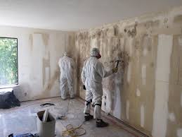 Best Biohazard Mold Removal  in River Park, FL